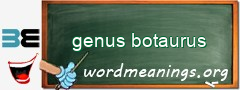 WordMeaning blackboard for genus botaurus